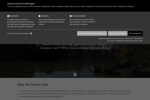 German cookie consent popup for TYPO3 demo site with toggles for essential, analytics, marketing, external media cookies.