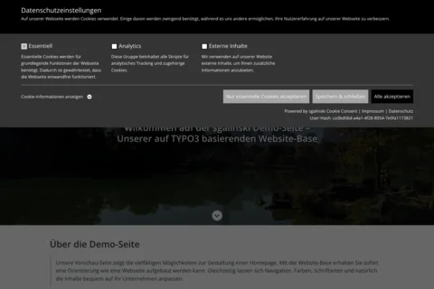 Screenshot: Cookie-Einwilligungsseite einer TYPO3-Demo-Website mit Einstellungen für essenzielle Cookies, Analytics u. a.