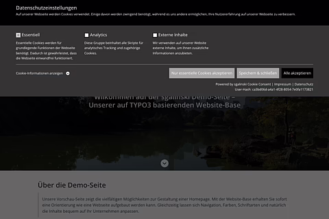 Screenshot: Cookie-Einwilligungsseite einer TYPO3-Demo-Website mit Einstellungen für essenzielle Cookies, Analytics u. a.