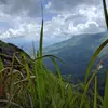 Image: Close-up of grass with mountain and clouds in the background