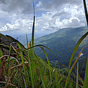 Bild: Nahaufnahme von Gras mit Berg und Wolken im Hintergrund