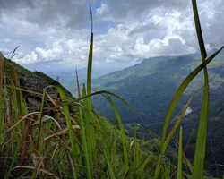 Bild: Nahaufnahme von Gras mit Berg und Wolken im Hintergrund