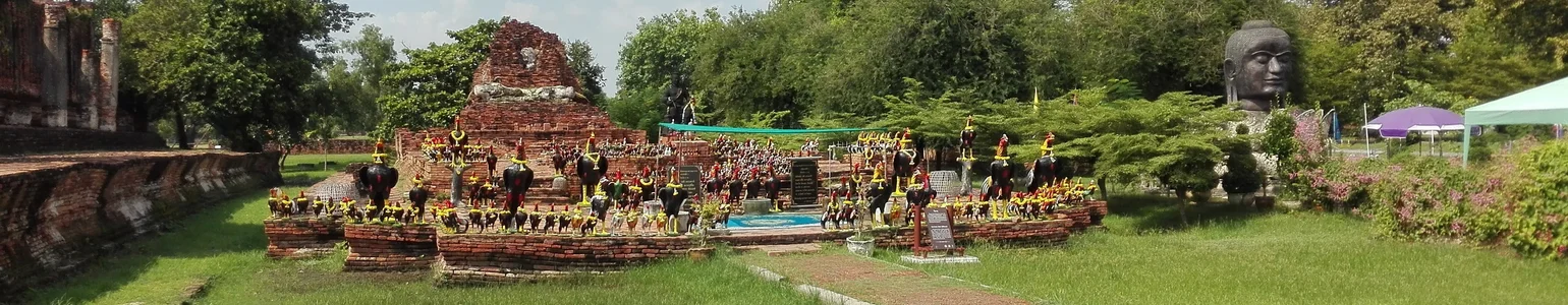 Viertes Bild zum Demo-Inhalt: Slider mit niedriger Höhe