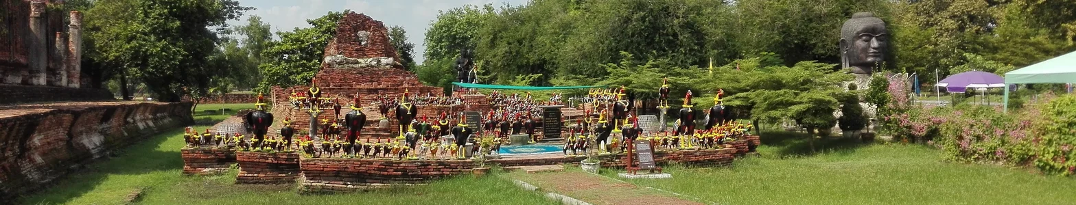 Viertes Bild zum Demo-Inhalt: Slider mit niedriger Höhe