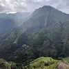 Image: Mountain, forest and clouds