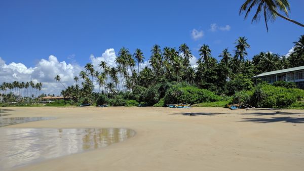 Commit Virtual 2021: Building a Bright Future of Innovation