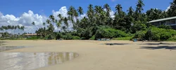 Image: Sandy beach with palm trees, boats and a house