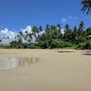 Image: Sandy beach with palm trees, boats and a house