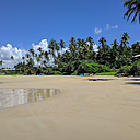 Bild: Sandstrand mit Palmen, Booten und einem Haus