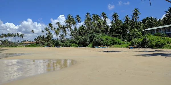 Bild: Sandstrand mit Palmen, Booten und einem Haus