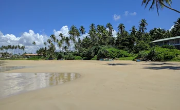 Bild: Sandstrand mit Palmen, Booten und einem Haus