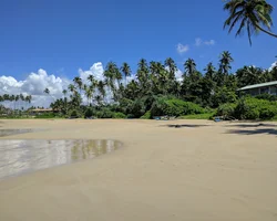 Bild: Sandstrand mit Palmen, Booten und einem Haus