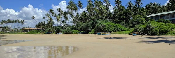 Image: Sandy beach with palm trees, boats and a house