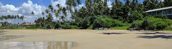 Image: Sandy beach with palm trees, boats and a house