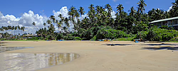 Bild: Sandstrand mit Palmen, Booten und einem Haus
