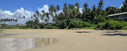Bild: Sandstrand mit Palmen, Booten und einem Haus