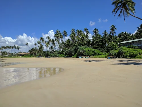 Image for demo content: Beach pollution – Sandy beach with sea, palm trees and house