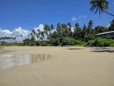 Bild zum Demo-Inhalt: Strandverschmutzung – Sandstrand mit Meer, Palmen und Haus
