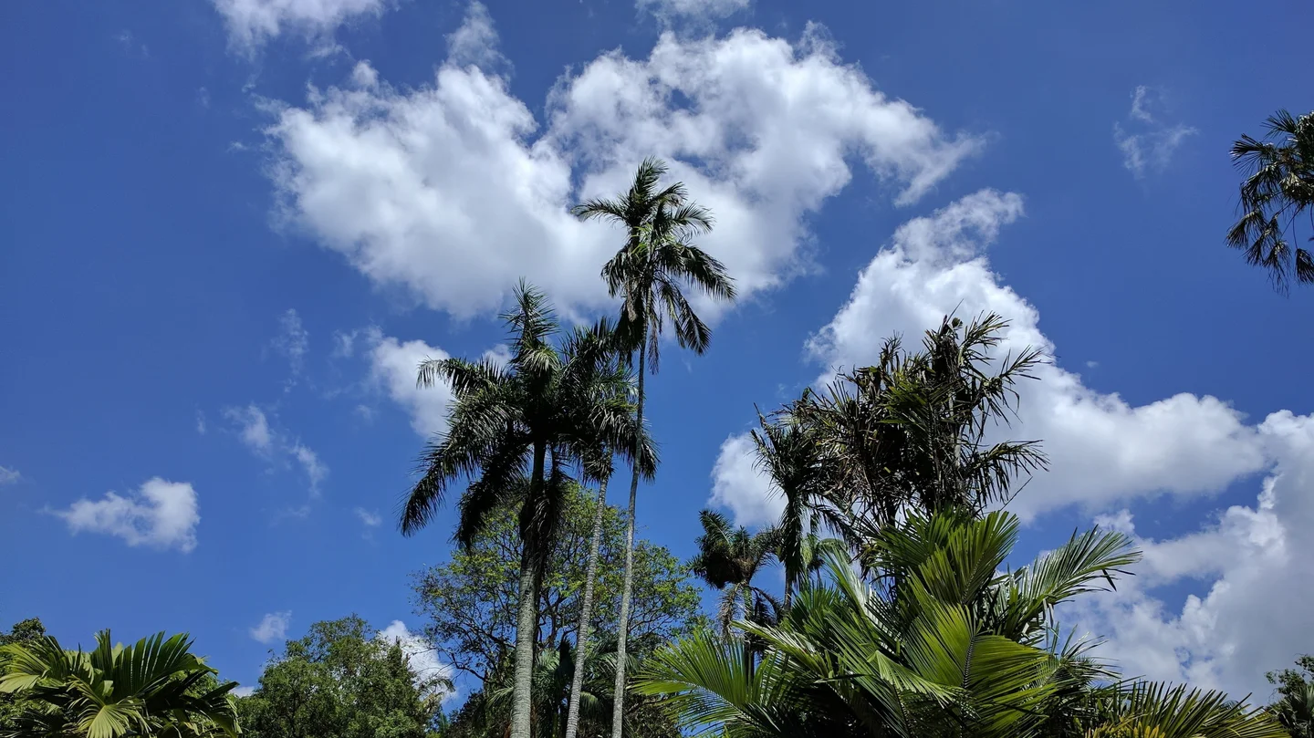 Image for demo content: FAQ / Accordion element