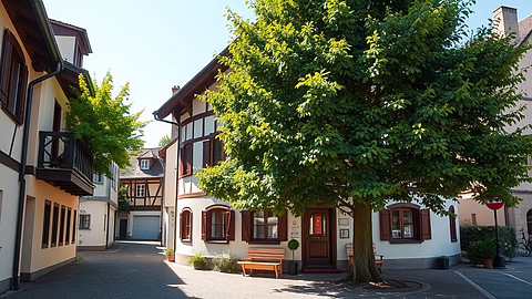 Straßenszene mit Fachwerkhäusern, großer Baum vor Eckhaus und Bank am Eingang.