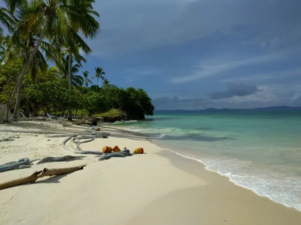 Image for demo content: Web standards – Sandy beach with sea and palm trees