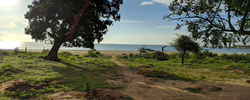 Bild: Baum im Sonnenlicht mit See und Himmel im Hintergrund