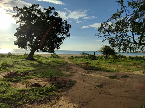Bild: Baum im Sonnenlicht mit See und Himmel im Hintergrund
