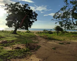 Bild: Baum im Sonnenlicht mit See und Himmel im Hintergrund