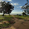 Bild: Baum im Sonnenlicht mit See und Himmel im Hintergrund