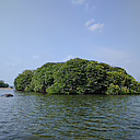 Bild: Kleine, bewaldete Insel im Meer