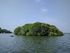 Image: Small, wooded island in the sea