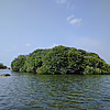 Bild: Kleine, bewaldete Insel im Meer