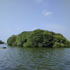 Bild: Kleine, bewaldete Insel im Meer