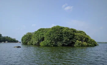 Bild: Kleine, bewaldete Insel im Meer