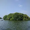 Image: Small, wooded island in the sea