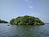 Image: Small, wooded island in the sea