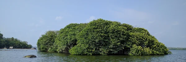 Bild: Kleine, bewaldete Insel im Meer
