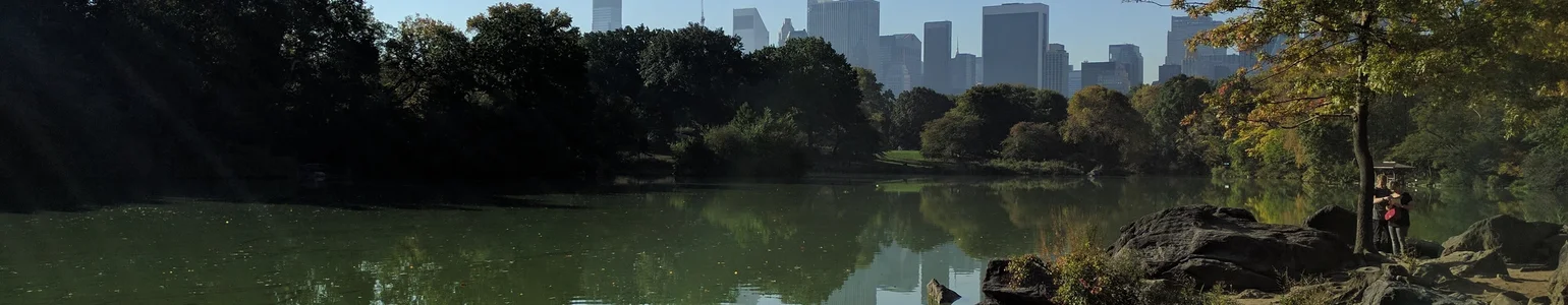 Blick auf einen Teich mit Bäumen und Stadtgebäuden im Hintergrund bei klarem Himmel.