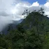 Panoramic image: mountains and forest