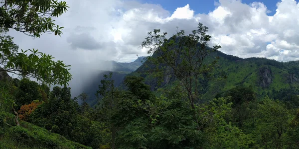 Panoramabild: Berge und Wald