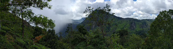 Panoramabild: Berge und Wald