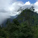 Panoramic image: mountains and forest