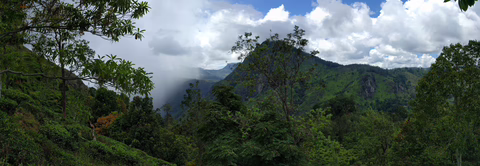 Panoramabild: Berge und Wald