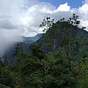Panoramabild: Berge und Wald