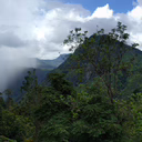Panoramabild: Berge und Wald
