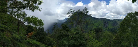 Panoramabild: Berge und Wald