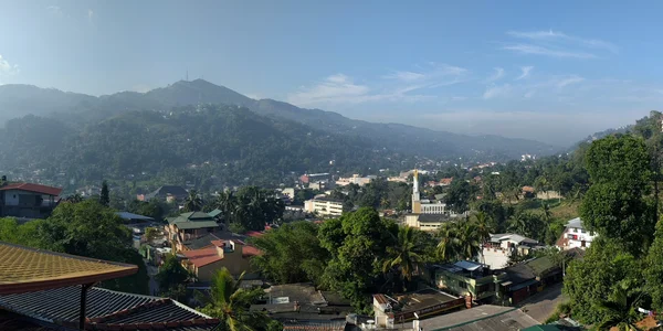Panoramabild: Stadt, Berge und Wald