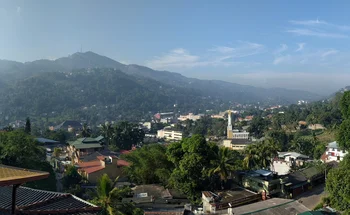 Panoramabild: Stadt, Berge und Wald