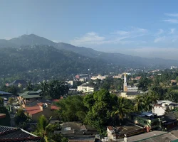 Panoramabild: Stadt, Berge und Wald